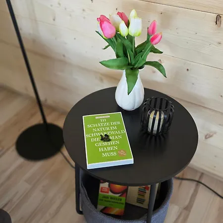 Nr 6 Rieselestein شقة *